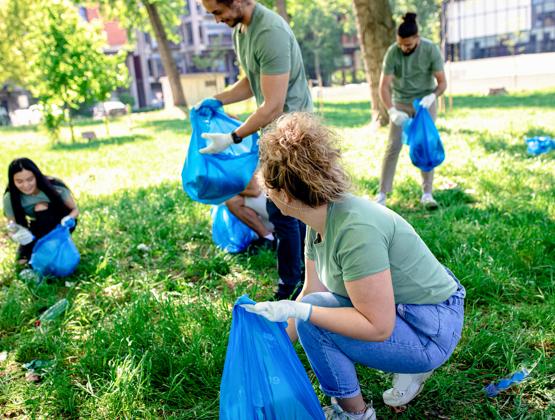 Cleaning park