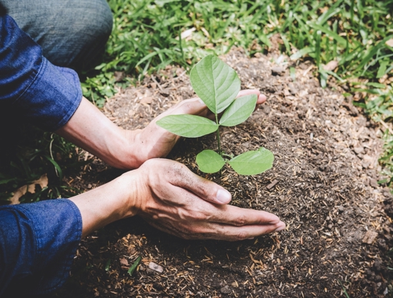 Environmental care